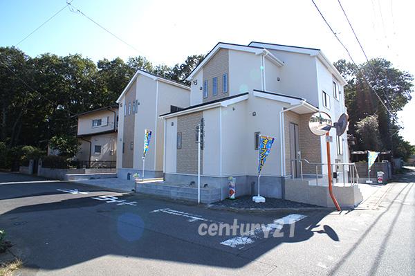 Local photos, including front road. Local (10 May 2013) Shooting