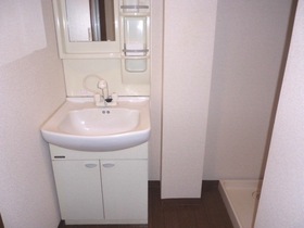 Washroom. With Vanity