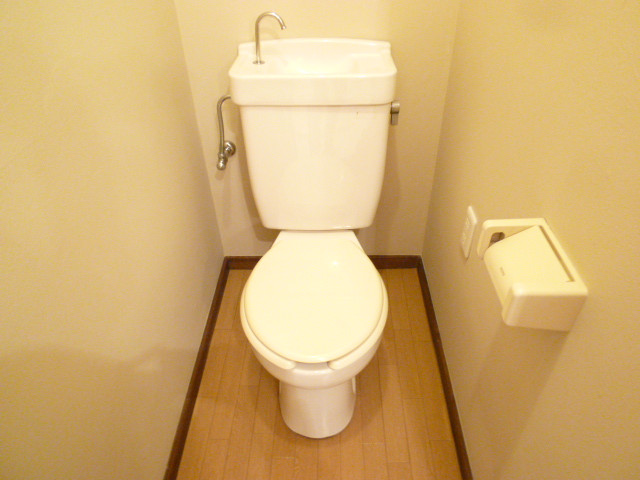Toilet. It is a Western-style toilet!