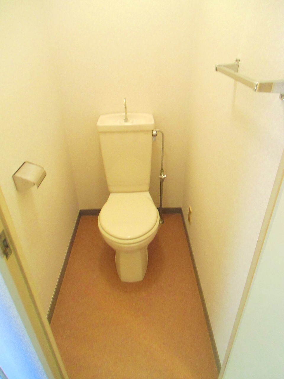 Toilet. It will be Western-style flush toilet