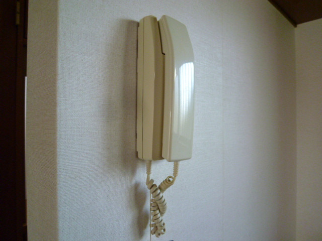 Security. You can talk to the visitor's while in the room at with intercom