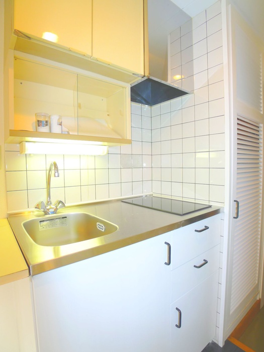 Kitchen. IH cooking heater