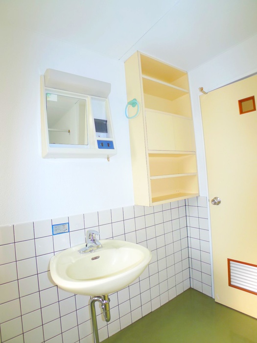 Washroom. Wash basin