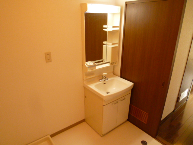 Washroom. Spacious vanity