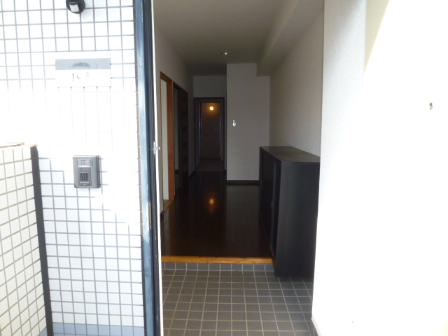 Entrance. Wide entrance hall