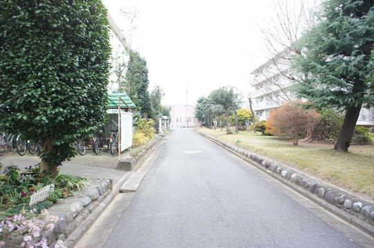Other. Frontal road