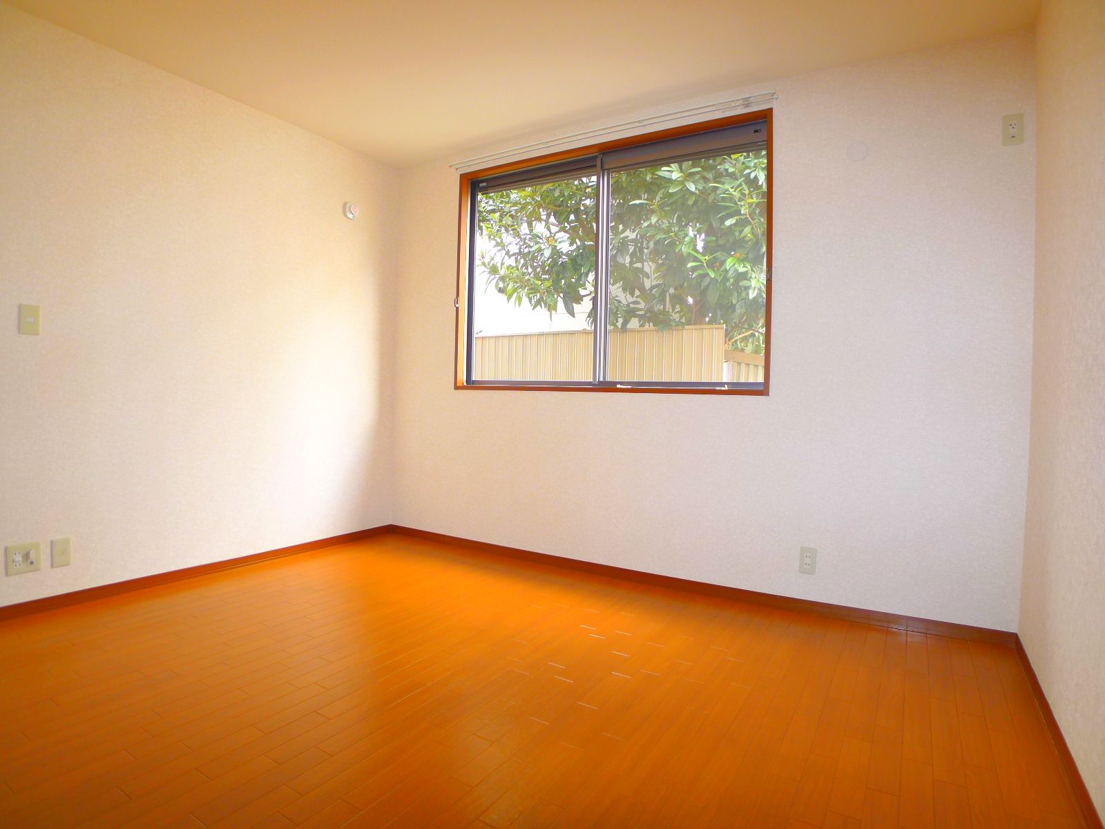 Living and room. Western style room