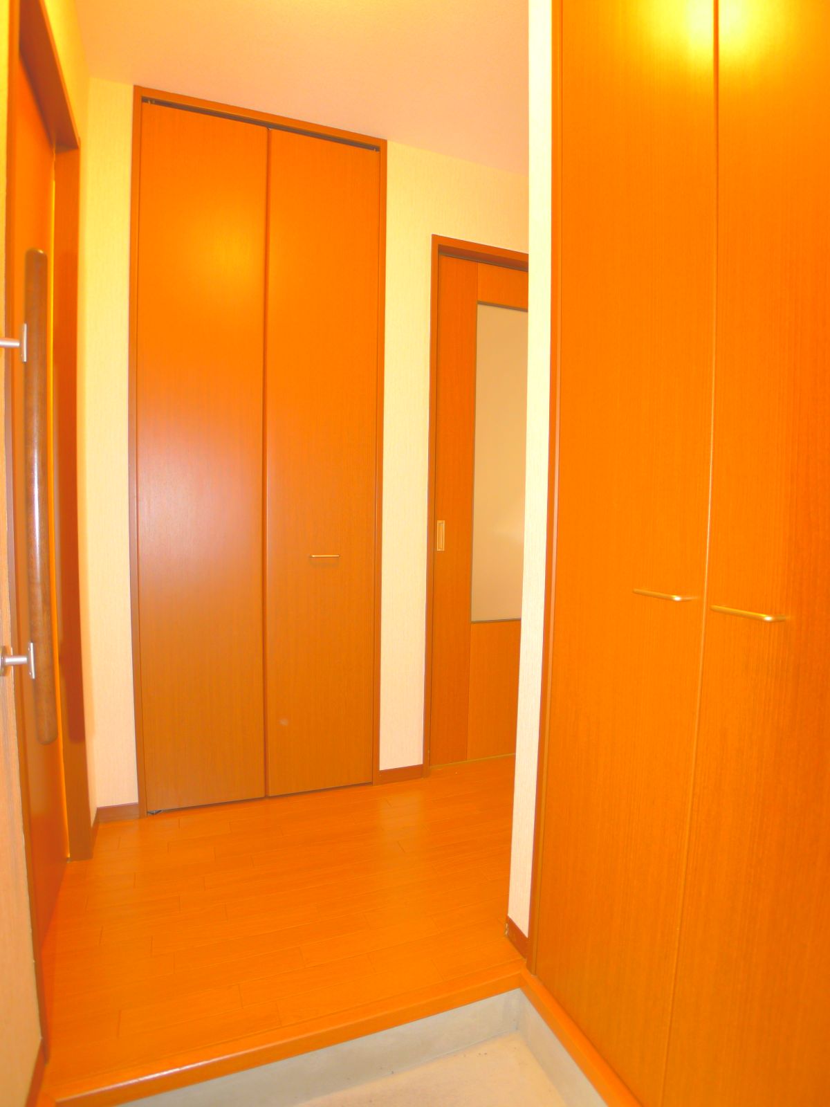 Entrance. Large shoebox and entrance storage