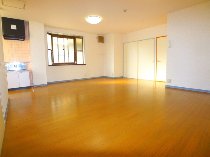 Living and room. LDK16