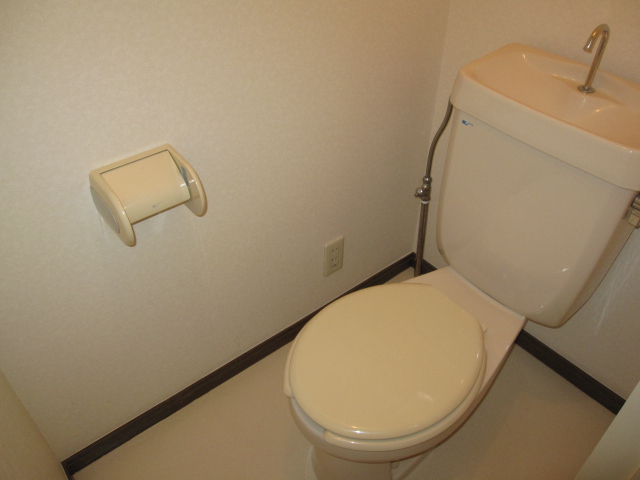 Toilet. But it is important to clean