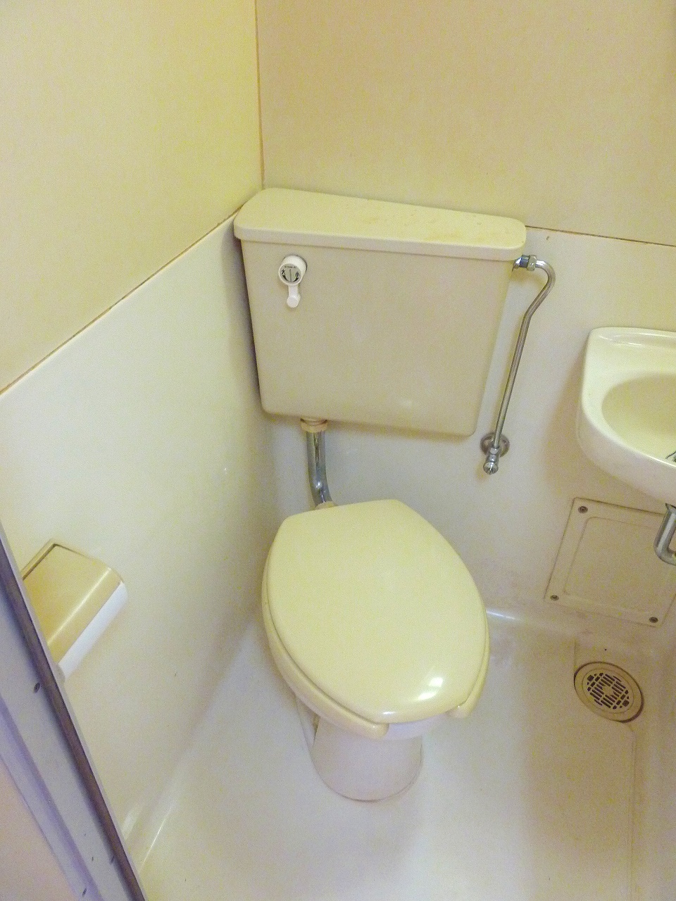 Toilet. It will be Western-style flush toilet