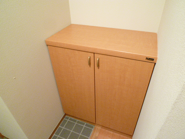 Entrance. You can store plenty if there is a shoe box storage up and down