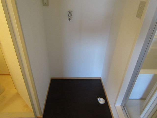 Other room space. Laundry Area