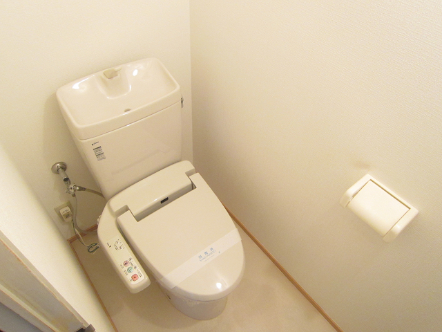 Toilet. Warm water washing toilet seat