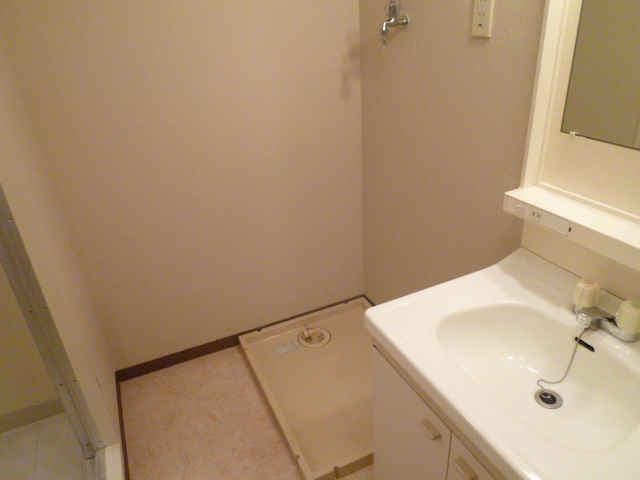 Washroom. Washing machine Storage