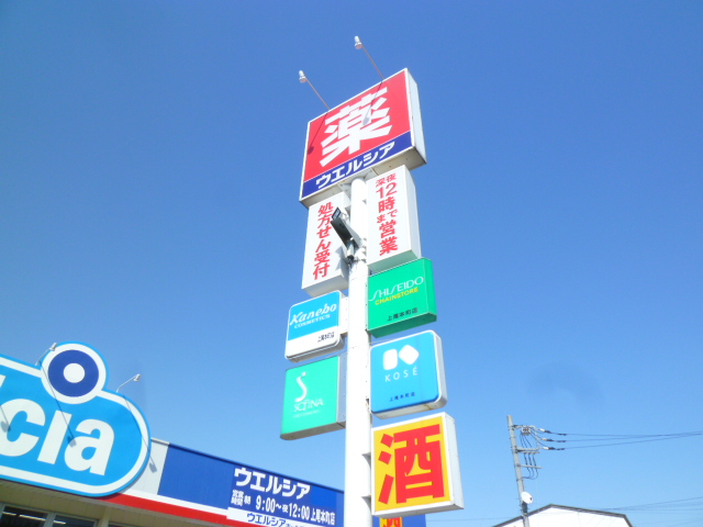 Dorakkusutoa. Uerushia Ageo Sakae until (drugstore) 332m