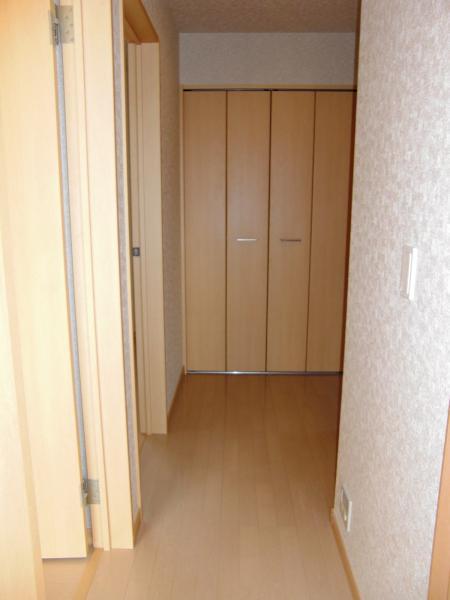 Other introspection. 2 Kairoka