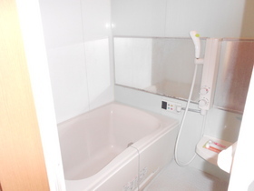 Bath. The same type (bathroom)