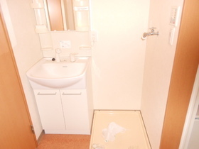 Washroom. The same type (wash basin)