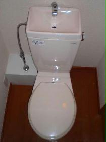 Toilet. Bath and toilets are completely different.