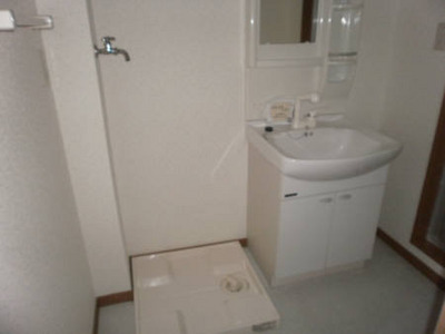 Washroom. Bathroom Vanity