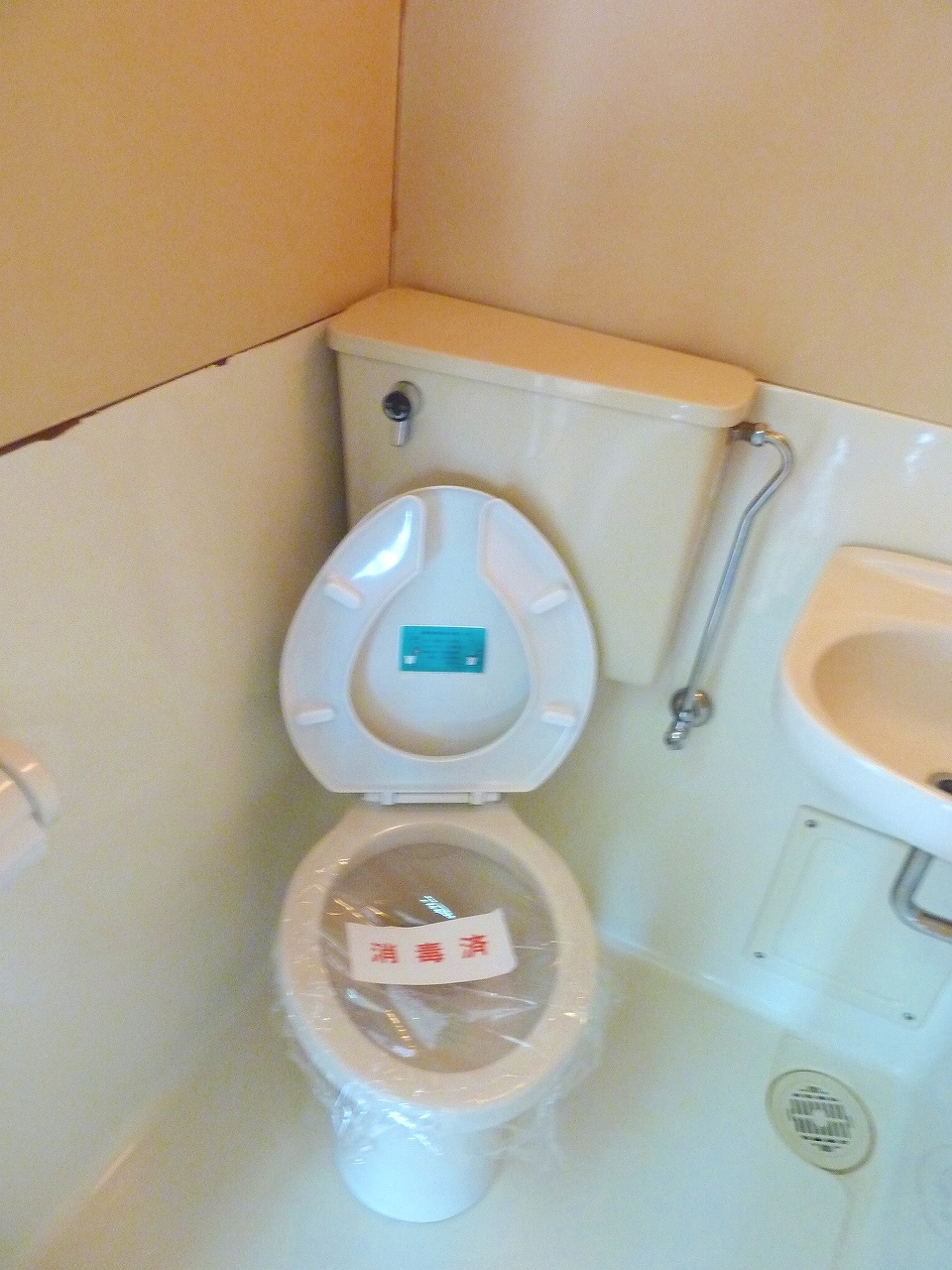 Toilet. It will be Western-style flush toilet