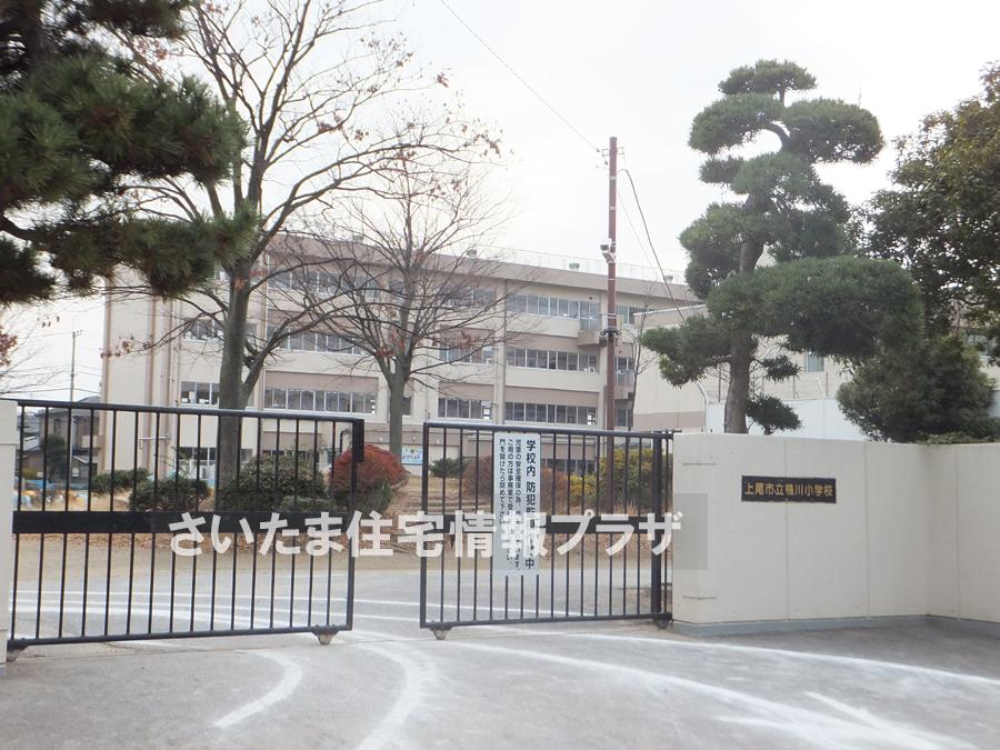 Primary school. For also important environment in Kamogawa elementary school you live, The Company has investigated properly. I will do my best to get rid of your anxiety even a little.