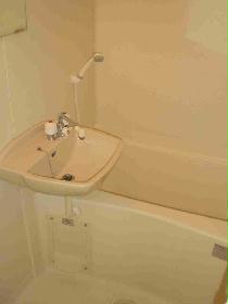 Bath. Mirrors and a wash basin marked with white bath.