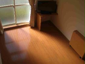 Living and room. Stylish flooring.