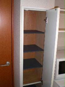 Other. It is a storage box of large capacity.