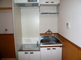 Kitchen. Convenient gas stove corresponding kitchen