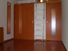 Living and room. Such as on top of the closet and loft, Is the storage capacity that leads up to the ceiling.