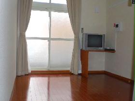 Living and room. Necessities of life is equipped to TV from curtain.