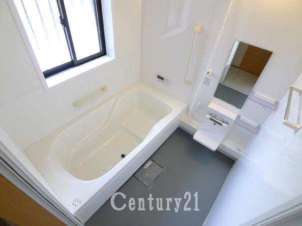 Bathroom. Indoor (September 2012) shooting