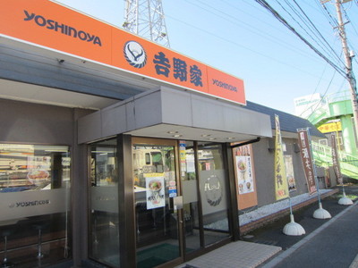 Other. Yoshinoya (other) up to 200m