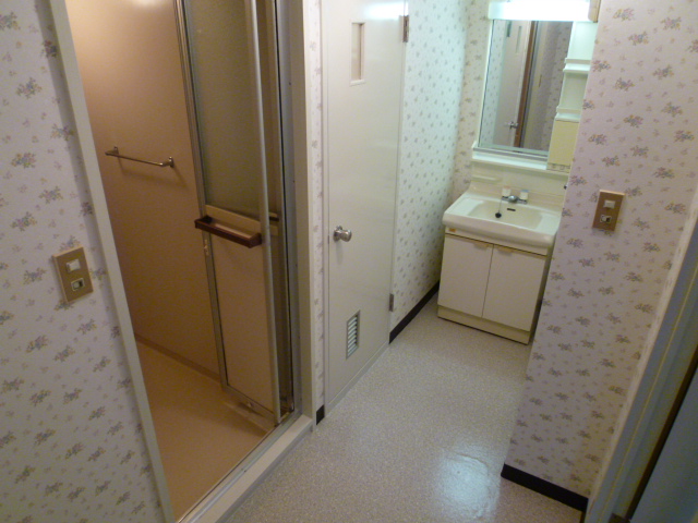 Washroom. Independent wash basin in front is the washing machine Storage