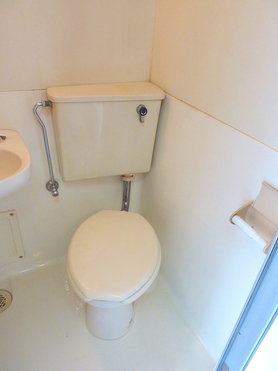 Toilet. It will be Western-style flush toilet