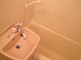 Bath. It is a bath with a bathroom ventilation dryer.