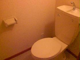 Toilet. Toilets are of course bus and separate.