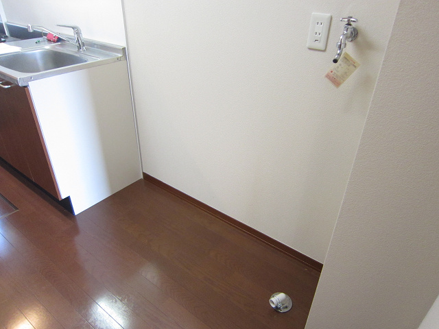 Other room space. Refrigerators and Laundry Area