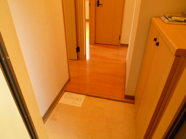 Entrance. Internal front as seen from the front door