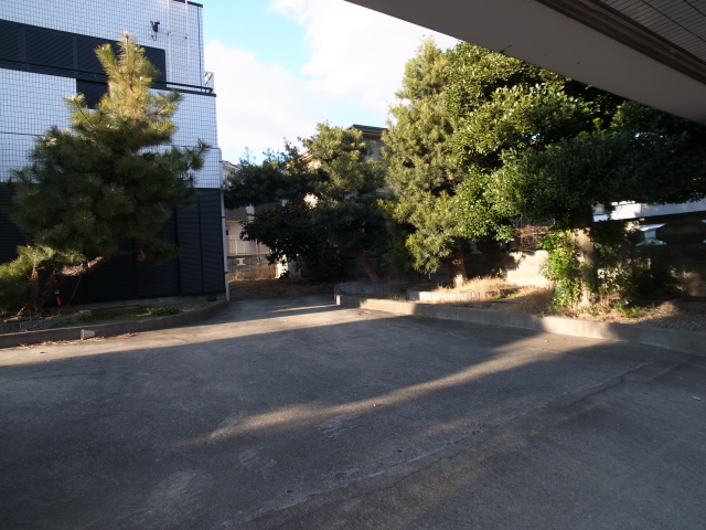 Garden. There are also planting. Large garden! It has also been planted tangerine tree.