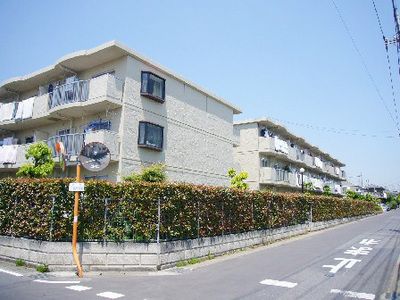 Building appearance. Appearance 2