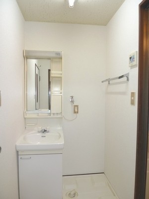 Washroom. Happy independence vanity