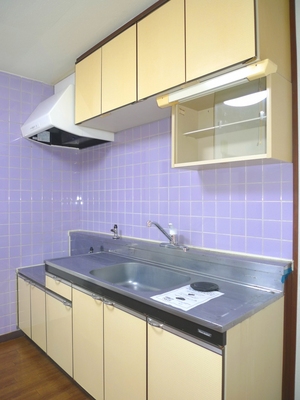 Kitchen. Gas stove installation Allowed