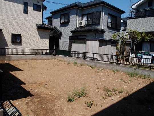 Local land photo. appearance