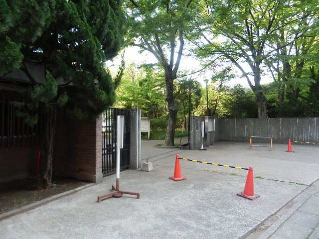 high school ・ College. Kei 應志 tree high school (high school ・ National College of Technology) up to 100m