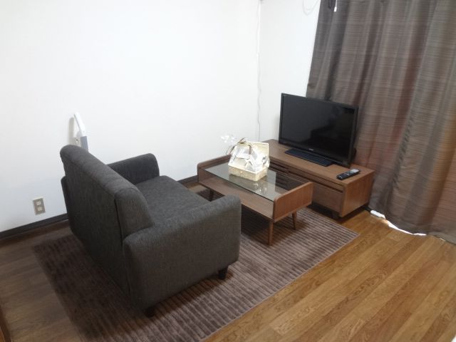 Living and room. Also with comfortable sofa