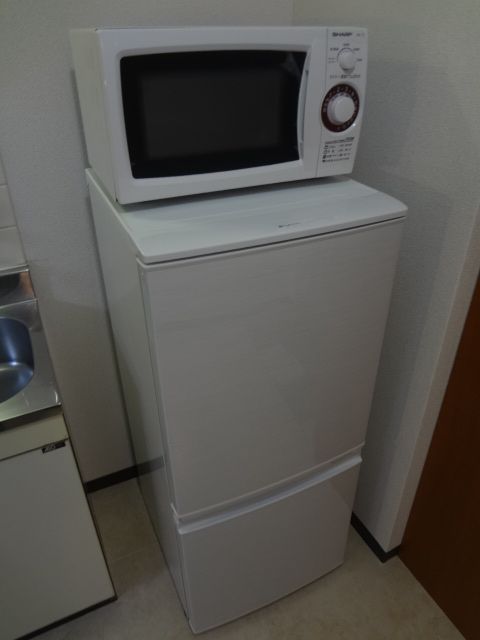Kitchen. Clean refrigerator white zebra