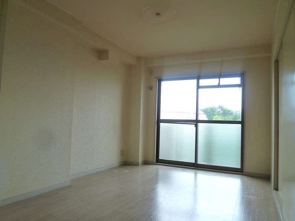 Living and room. Living